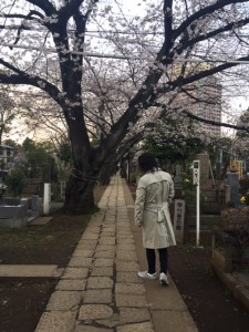 東京都内、2018年3月、桜の季節にて。